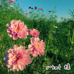 s-kmt  様 専用
