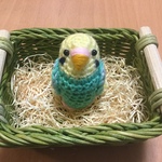 セキセイインコちゃん（パステルレインボー）