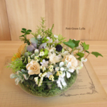 Petit Green Arrange 264