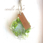 アロマワックス キャンドルサシェ シトラスの香り