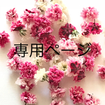 専用ページ