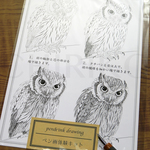 ペン画体験キット・フクロウ