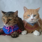 メキシカン・コスプレセット