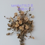 tamiko716専用ページ
