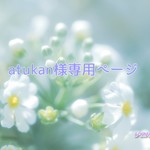 atukan様専用ページ