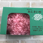  みちのく あじさいや ミニひめあじさい ピンク 1箱