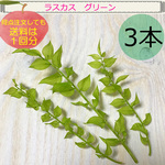 ◎SALE◎520円→420円　ラスカス　『ライムグリーン』３本　プリザーブド加工