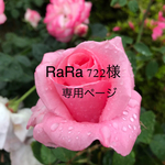 RaRa 722様専用のページです。