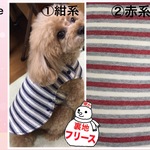 暖かぱっちん♪ボーダー2色