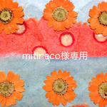 mitineco様専用