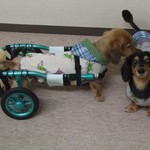 tomoさんオーダー分　ワンピ2着パーカー2着