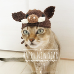 2019《亥》 いのしし帽子