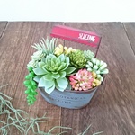 ⭐mi様お取り置き作品⭐アンティーク調のブリキ缶にアレンジされたフェイク多肉植物寄せ植え                       