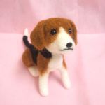 うちのビーグル☆