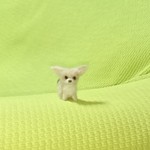 フェネックギツネ ベビー 羊毛フェルト