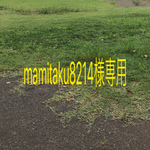 mamitaku8214様専用です
