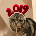 再販！今年も作りました！2019カチューシャ