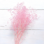 Nuance Pink♡かすみ草 プリザーブドフラワー♡