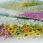 mako-0104様ご注文品です🌼席札用花セット