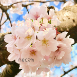 ♡お客様専用ページです♡