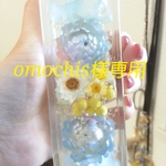 omochis様専用　ハーバリウム