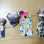 訳ありへんてこシリーズ①