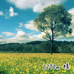 2270m 様 専用