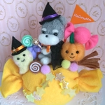 ハロウィンパーティー🎃シュナウザーちゃん