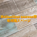 Helianthus annuus様購入専用ページ