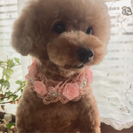 ピンクのローズと水色パールのドッグネックレス