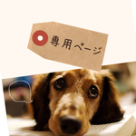 【rikuazukoma様ご購入専用】ダックス☆羊毛フェルト