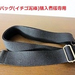 ショルダーベルト☆書類バッグ(イチゴ泥棒)購入者様専用