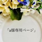 a様専用ページ