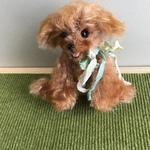 Kuuku様オーダー トイプードル