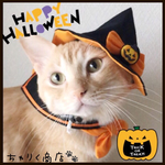 送料無料☆彡ウィッチハット ♡ハロウィン〜猫のかぶりもの