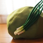 野菜ぼうし ネギ