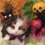 羊毛フェルトハロウィン 三毛猫のブローチ