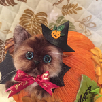 羊毛フェルト ハロウィン ヒマラヤンのブローチ