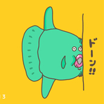 マンボウ  ポストカードセット