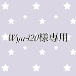 Wyu420様専用マルチクリップ