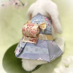 うさぎの竜胆色訪問着ハーネス