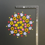 押し花  花便り NO.1140