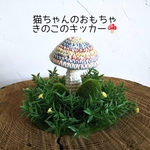 きのこのキッカー