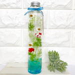 ☆。.:＊・゜ｈｅｒｂａｒｉｕｍ  ちび金魚☆。.:＊・゜