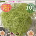 シサル麻 グリーン 10g 