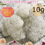 フィンランドモス『ホワイト』１０ｇ