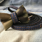 犬用首輪&リードセット