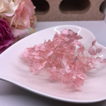 紫陽花 アナベル 小分け