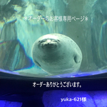 ブルーミックス＊ラップブレスレットとピアスのセット
