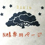 N様専用ページ